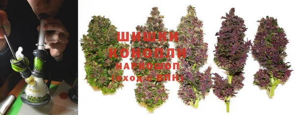 стафф Бронницы