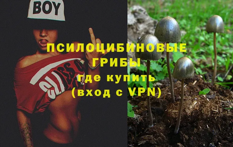 Галлюциногенные грибы MAGIC MUSHROOMS  ОМГ ОМГ tor  Алупка 